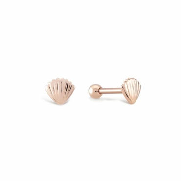 Piercing Ureche Scoica Aur 14K PCXE0034-12