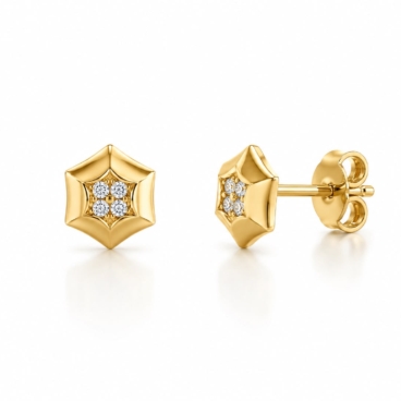 cercei aur 14k c 20
